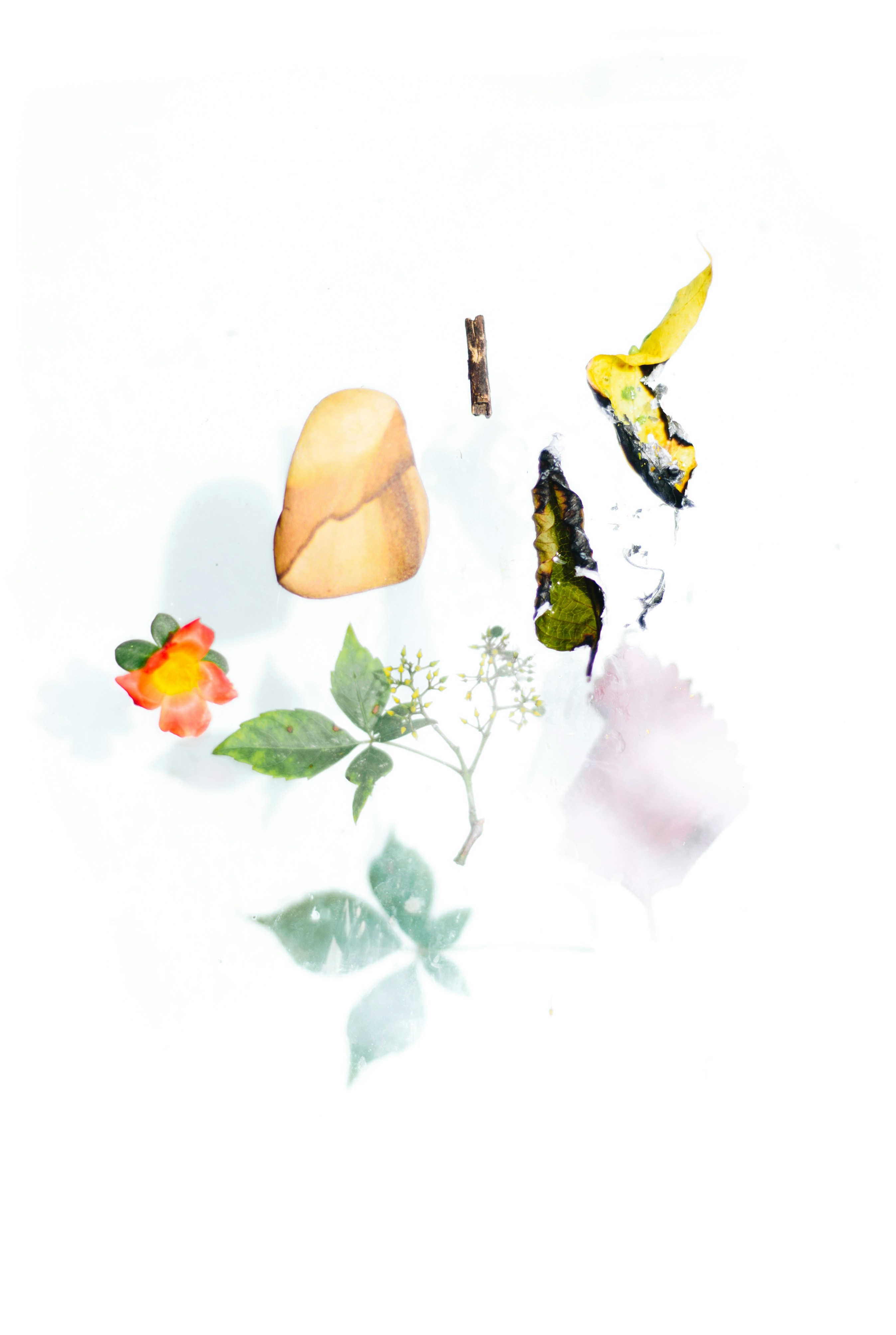 Image 10